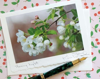 Floral Greeting Card, Photo Card, Flower Photography Card, Card for Her, New Baby Card, Handmade Greeting Card, Blank Card, Morning Light