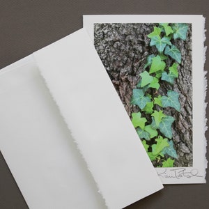 English Ivy Greeting Card, Congratulations Card, Card for Graduate, Photo Greeting Card, Ivy League, Handmade Greeting, English Ivy Photo image 5