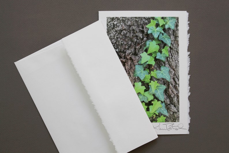 English Ivy Greeting Card, Congratulations Card, Card for Graduate, Photo Greeting Card, Ivy League, Handmade Greeting, English Ivy Photo image 5