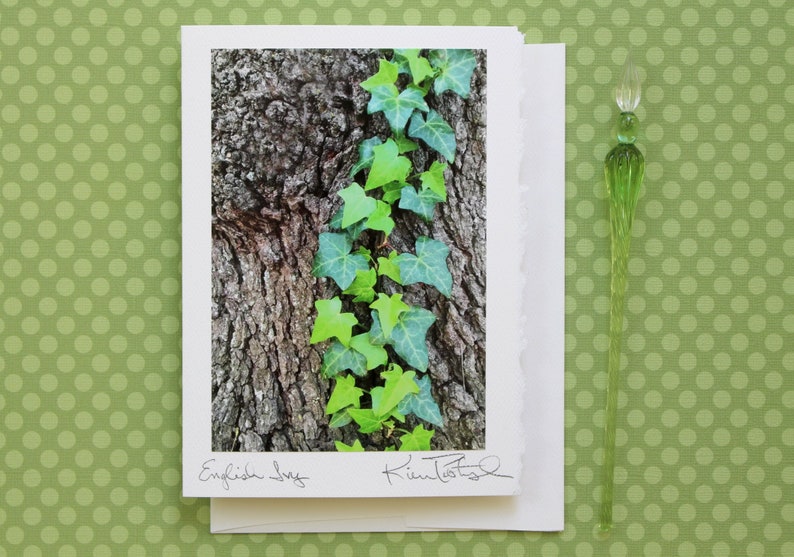 English Ivy Greeting Card, Congratulations Card, Card for Graduate, Photo Greeting Card, Ivy League, Handmade Greeting, English Ivy Photo image 1