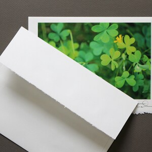 St. Patrick's Day Greeting Card, Irish Greeting, Photo Greeting Card, Luxury Handmade Card, Travel Photography, Shamrocks Card, Clover Bloom image 7