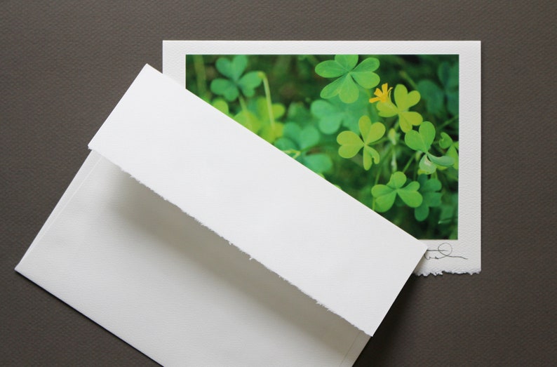 St. Patrick's Day Greeting Card, Irish Greeting, Photo Greeting Card, Luxury Handmade Card, Travel Photography, Shamrocks Card, Clover Bloom image 7