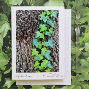 English Ivy Greeting Card, Congratulations Card, Card for Graduate, Photo Greeting Card, Ivy League, Handmade Greeting, English Ivy Photo image 2