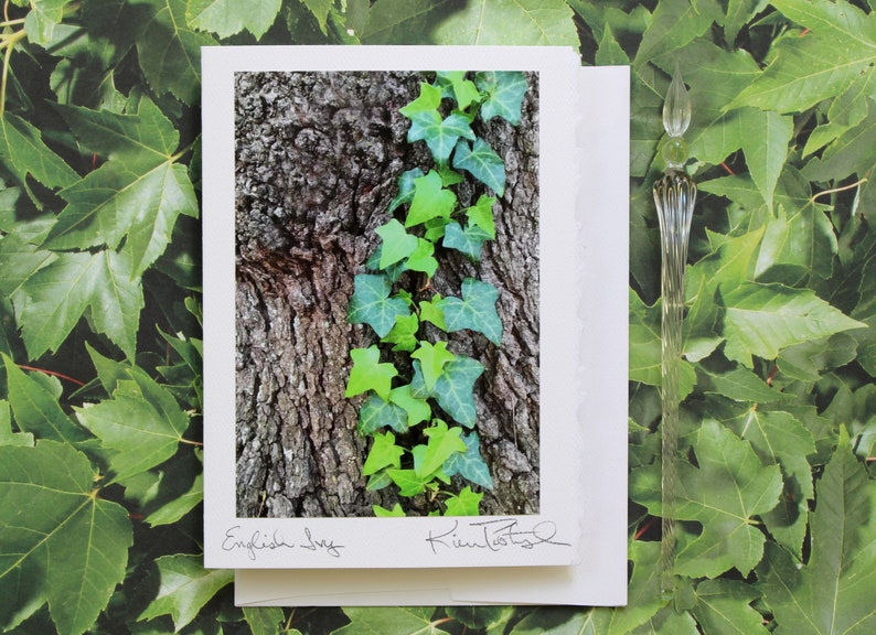 English Ivy Greeting Card, Congratulations Card, Card for Graduate, Photo Greeting Card, Ivy League, Handmade Greeting, English Ivy Photo image 2