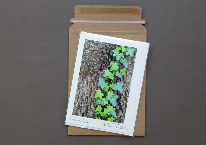 English Ivy Greeting Card, Congratulations Card, Card for Graduate, Photo Greeting Card, Ivy League, Handmade Greeting, English Ivy Photo image 6