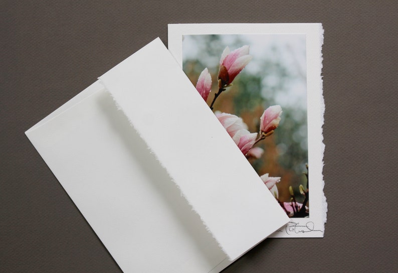 Photo Greeting Card, Botanical Greeting, Flower Photo Card, Floral Photo Card, Blank Card, All-Occasion Card, Mother's Day Card, Magnolia image 4