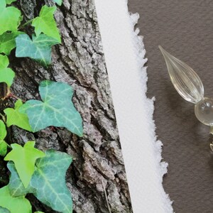 English Ivy Greeting Card, Congratulations Card, Card for Graduate, Photo Greeting Card, Ivy League, Handmade Greeting, English Ivy Photo image 4