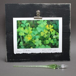 St. Patrick's Day Greeting Card, Irish Greeting, Photo Greeting Card, Luxury Handmade Card, Travel Photography, Shamrocks Card, Clover Bloom image 3