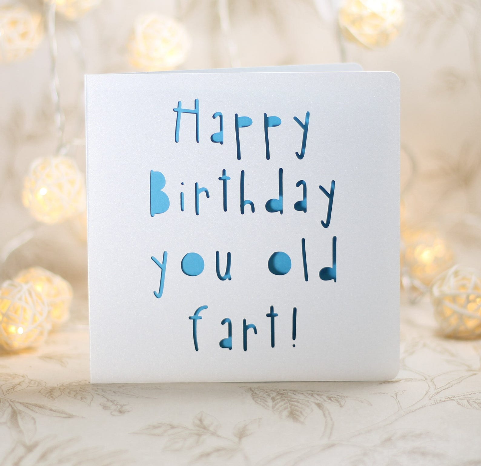Happy Birthday You Old Fart Happy Birthday Card Old Age Etsy Australia