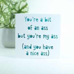 Vous êtes un garçon, drôle d’anniversaire, carte pour lui, anniversaire petit ami mari, carte snarky, carte sarcastique, pas de carte-cadeau, carte d’anniversaire narqueuse
