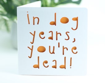 In dog years, you're dead.