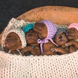 Puppy Tag Blanket Etsy