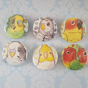 1.5 inch Bird buttons- Parakeet, Cockatiel, Sun Conure, and Lovebirds