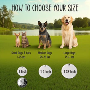 Placa de identificación personalizada para perro, placa de identificación para mascota, placa de identificación para cachorro, placa de identificación personalizada para perro, placa de identificación grabada para mascota, placa de identificación personalizada para perros imagen 6