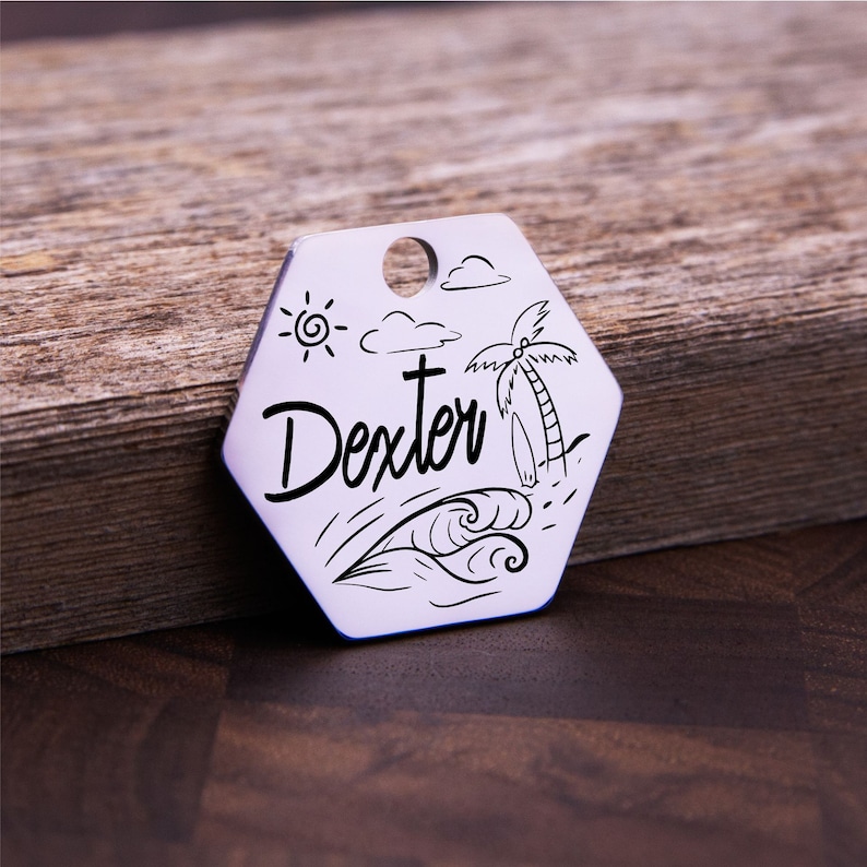Personalized Hexagon Cat ID Tag, Custom Engraved Cat Tag, Stainless Steel Cat Collar Tag, Kitten Name Tag, Pet ID Tag, Cat Gift image 8