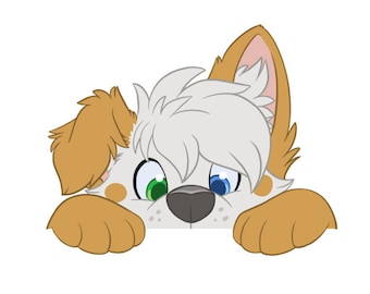 Peek Sticker
