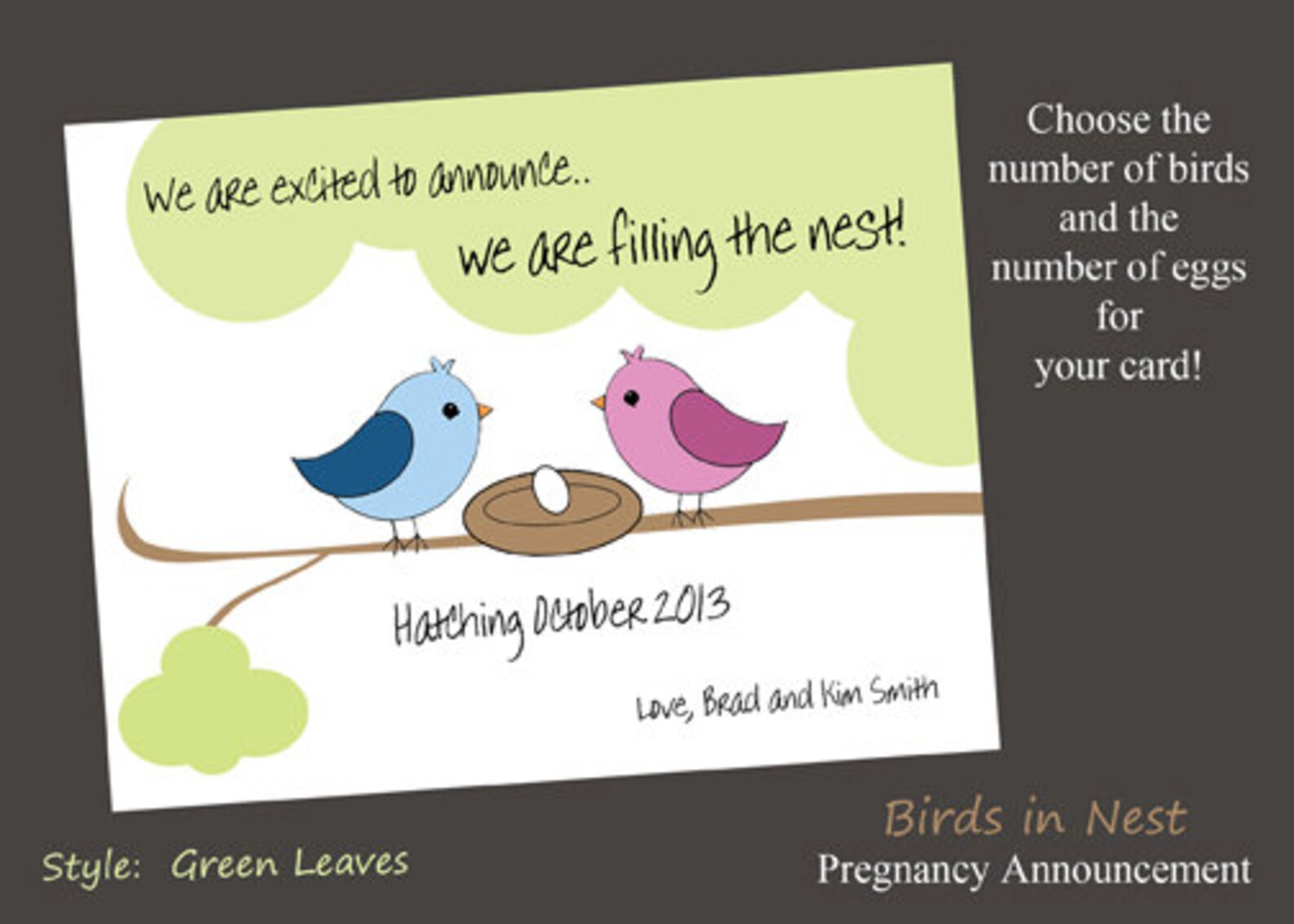 Pregnancy Announcement Birds in Nest 4 Cards and 4 Etsy