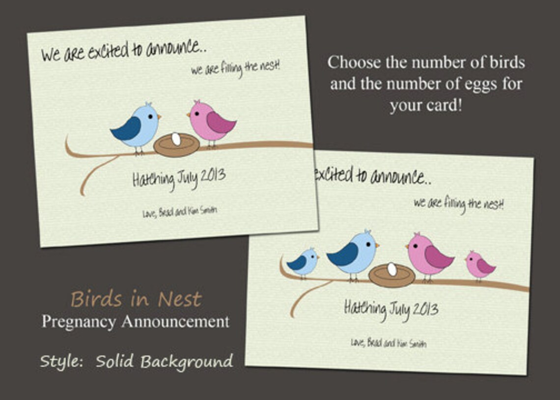 Pregnancy Announcement Birds in Nest 4 Cards and 4 Etsy