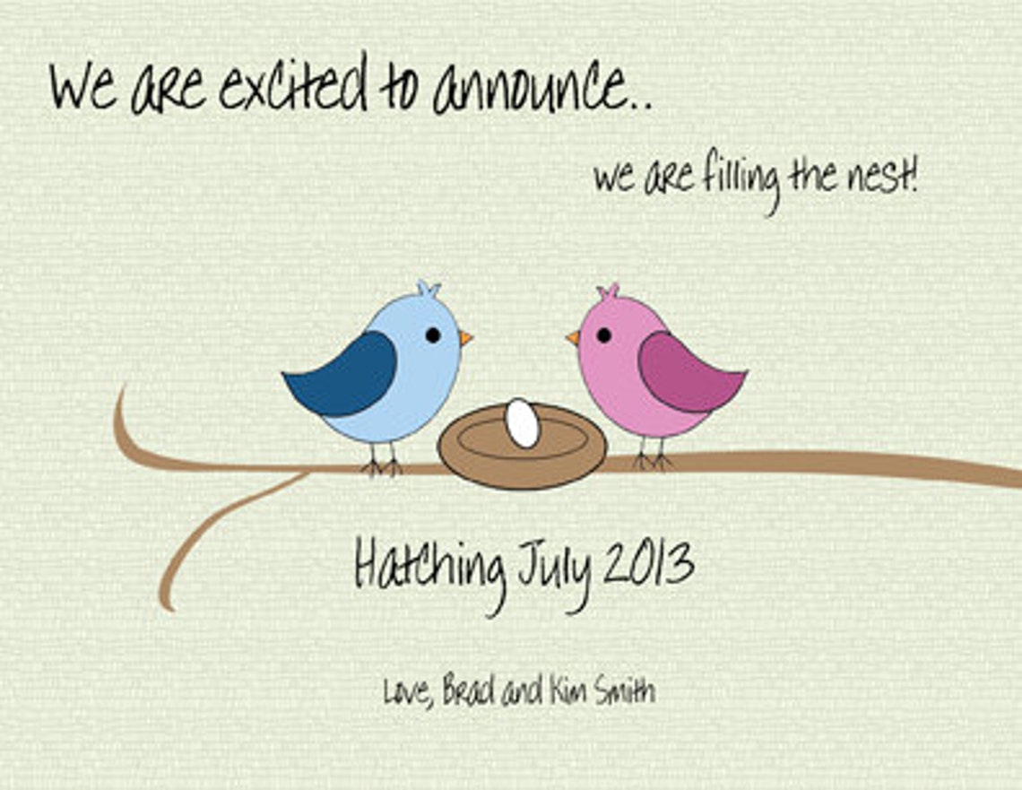 Pregnancy Announcement Birds in Nest 4 Cards and 4 Etsy