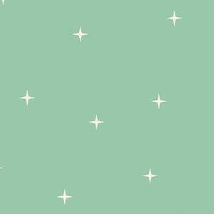 May include: A mint green fabric with a white star pattern. The fabric is printed with the text "RUBY STAR SOCIETY" repeated across the bottom.