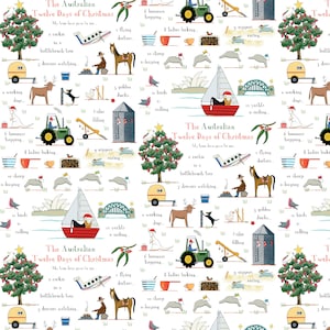 Christmas in Australia by Rachael Flynn of Red Tractor Designs for Devonstone Collections (DV5489)