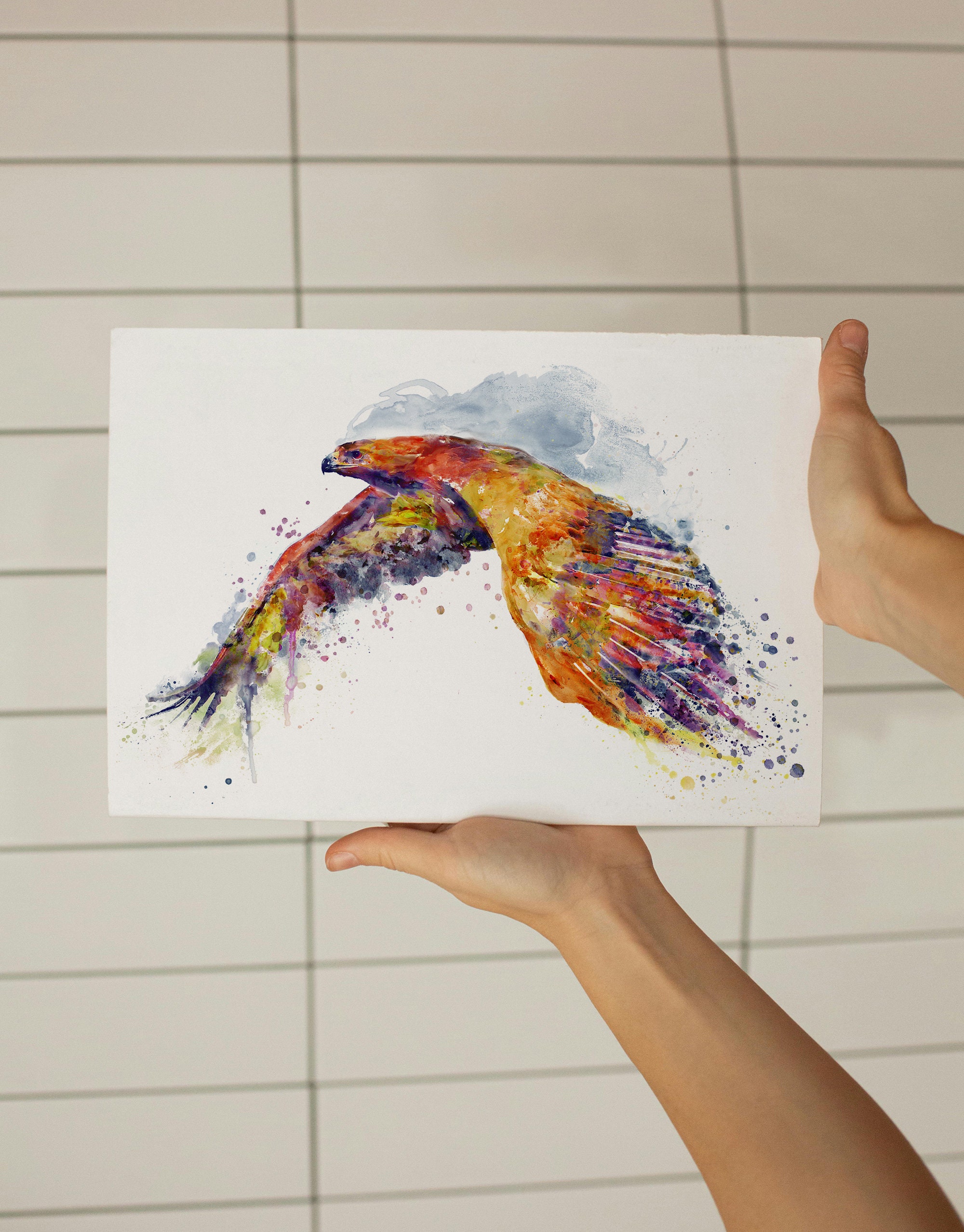 原画『 shaping Hawk 』アクリル水彩 絵画 アート イラスト 猛禽類 原画『 shaping Hawk 』アクリル水彩 絵画 アート イラスト 猛禽