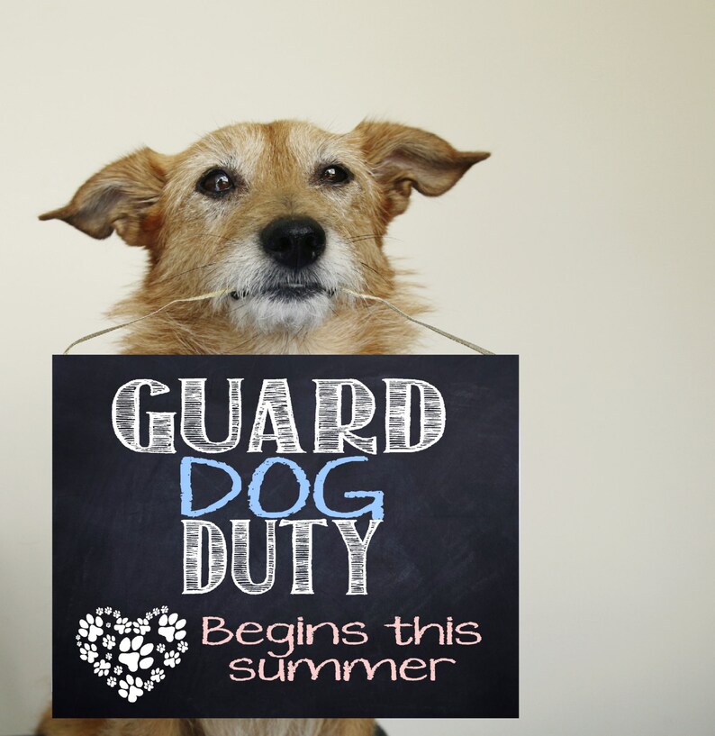 Guard dog on duty baby expecting pregnancy announcement Etsy