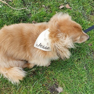 Dog Neckerchief Reversible and can be Personalised Over Collar image 3