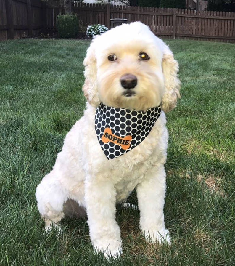 Download Personalized Dog Bandana Halloween Dog Bandana Fall Dog | Etsy