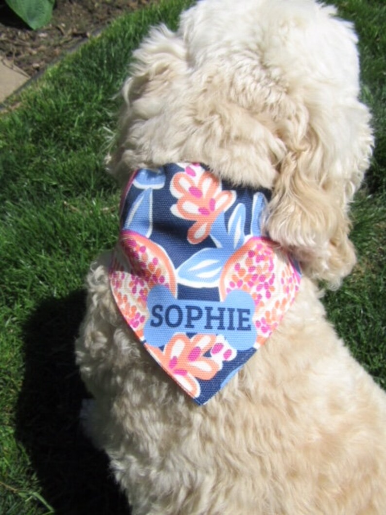 Download Personalized Dog Bandana Girl Dog Bandana Pomegranate Dog ...