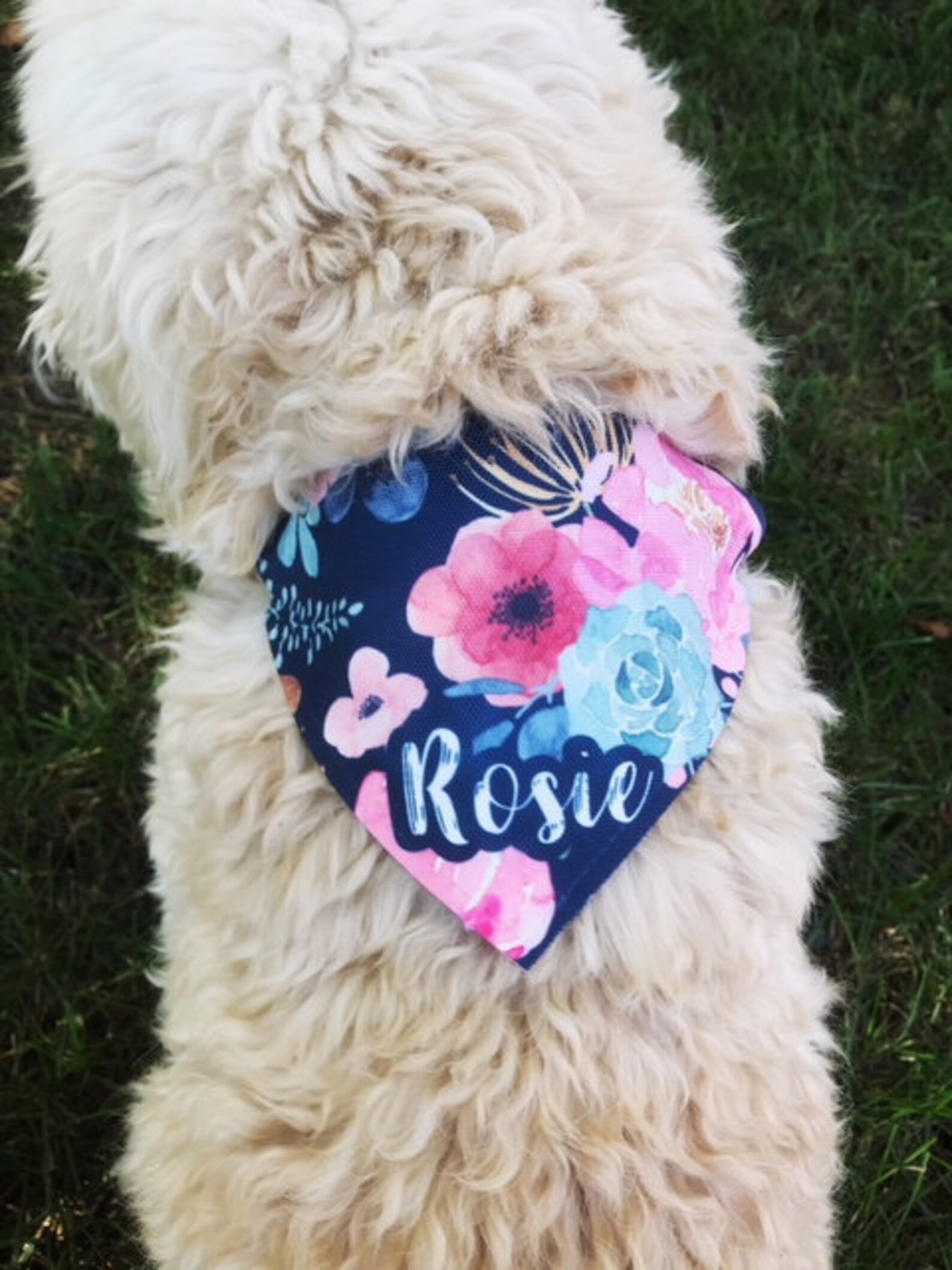 Personalized Dog Bandana Girl Dog Bandana Flower Dog Bandana Etsy