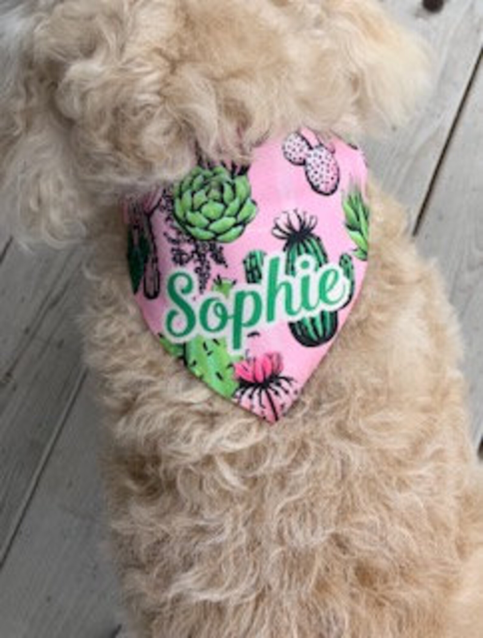 Personalized Dog Bandana Girl Dog Bandana Cactus Dog Bandana Etsy