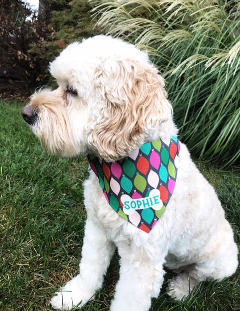 Download Personalized Dog Bandana Christmas Dog Bandana Dog Bandana ...