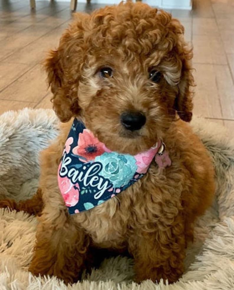 Personalized Dog Bandana Girl Dog Bandana Flower Dog Bandana Etsy
