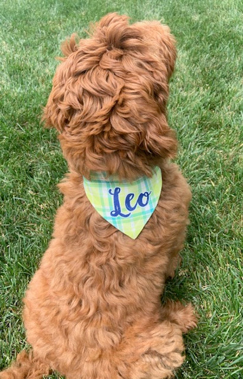 Download Personalized Dog Bandana Plaid Bandana Checkered Bandana ...