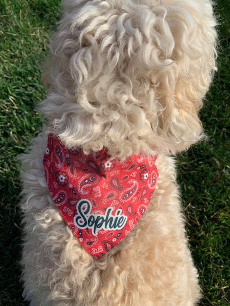 Download Dog Bandana Paisley Bandana Personalized Bandana Red Dog ...