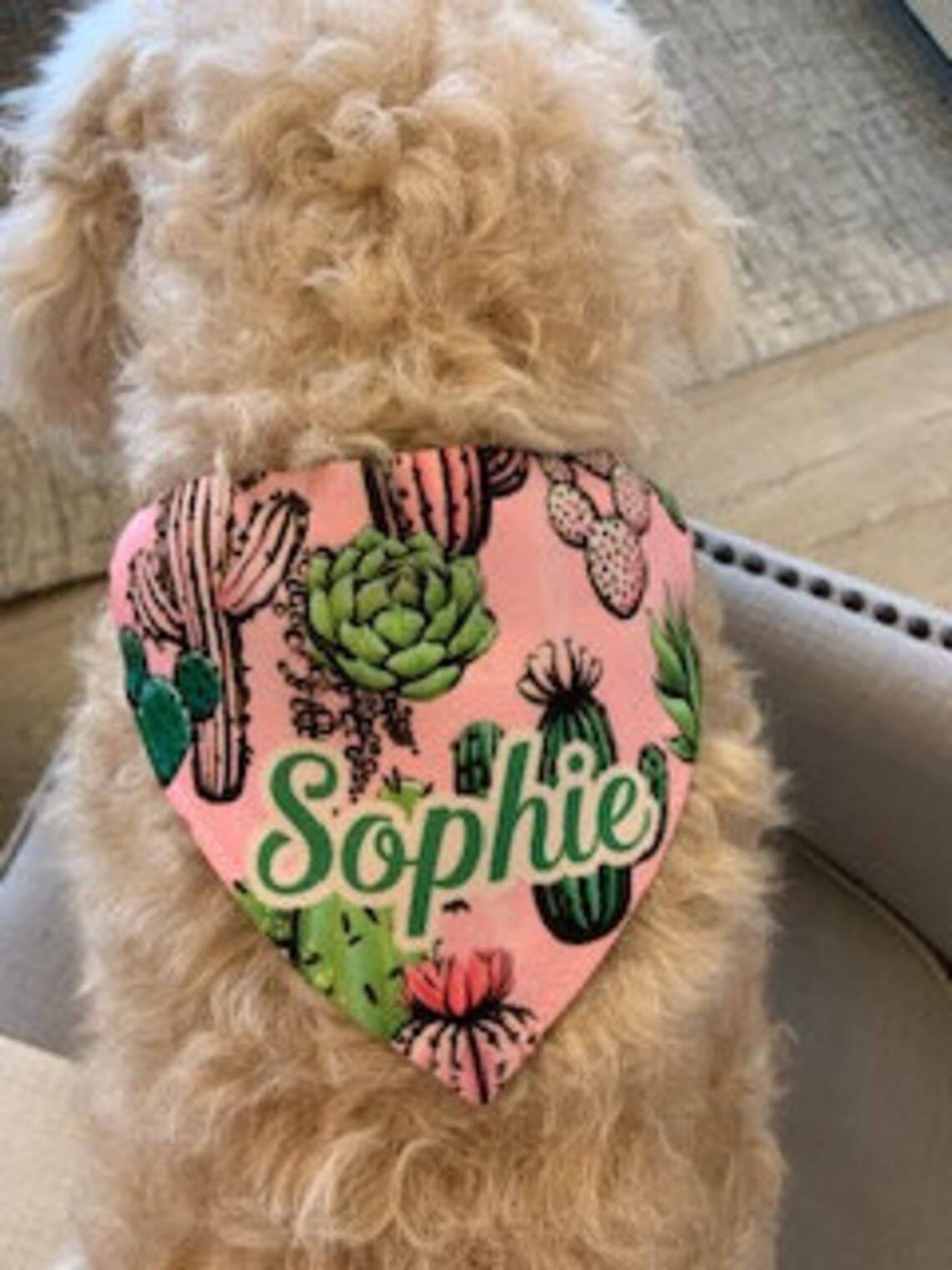 Personalized Dog Bandana Girl Dog Bandana Cactus Dog Bandana Etsy