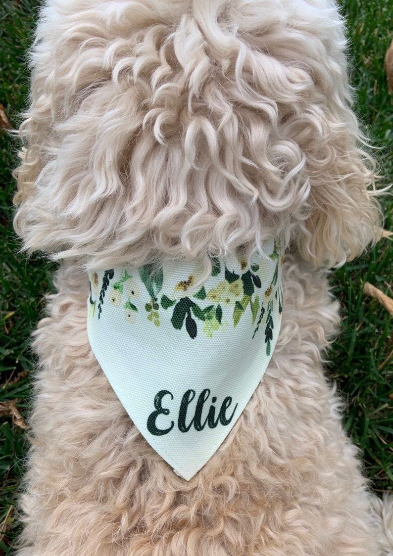 Download Dog Bandana Dog Scarf Personalized Dog Bandana Flower ...