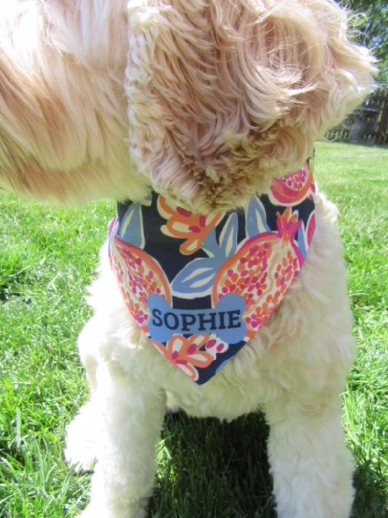 Download Personalized Dog Bandana Girl Dog Bandana Pomegranate Dog ...