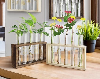 5 Vial Glass & Wood plant propagation stand | Valentine's Day, Mother's Day, Birthday | Grow at Home | Quality | Ready to Gift | Test Tube