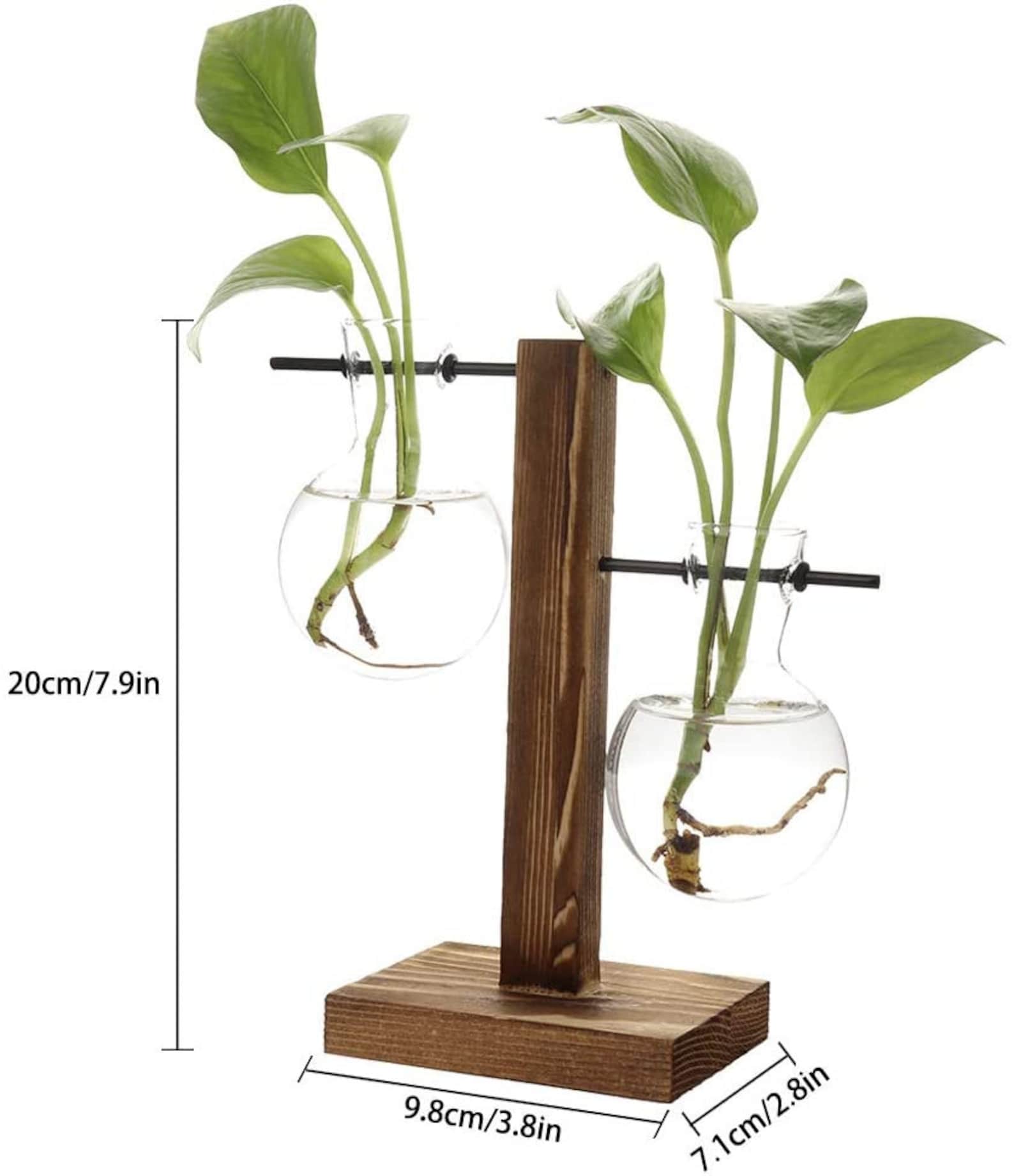 Glass & Wood Propagation Stand Test Tube Vase System Etsy