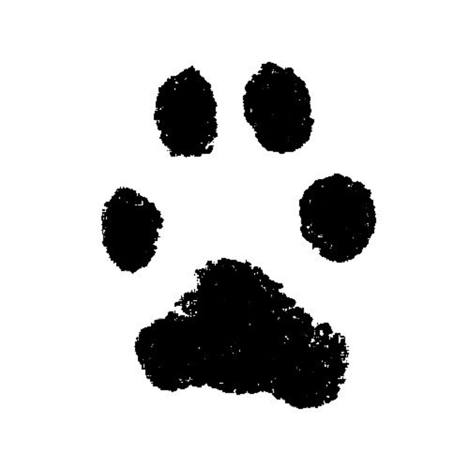 Custom Paw Print Stamp 2 Selfinking Etsy