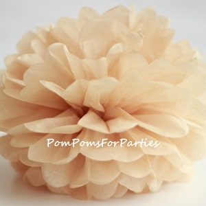 1 Pom Pom pom in tessuto TAN di alta qualità - Scegli uno dei 60 colori - Fiore di carta appesa - Palline di carta velina - Pom pom di carta velina