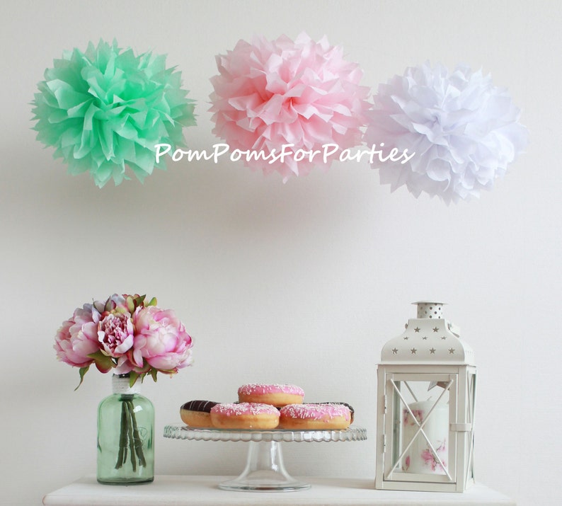 5 2L/2M/1S Tissue Paper Pom Poms Pink&mint Princess Party Etsy