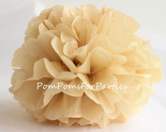 1 Hoge kwaliteit perkament weefsel Pom Pom - Kies een van de 60 kleuren - Hangende papieren bloem - Tissue papieren ballen - Tissue papier pom poms