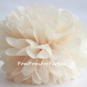 1 Champagne Tissue Pom Pom di alta qualità - Scegli uno dei 60 colori - Fiore di carta appesa - Palline di carta velina - Pom pom di carta velina