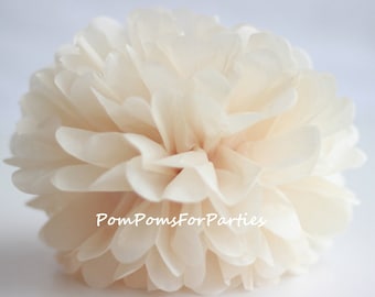 1 Hochwertiger CHAMPAGNER Taschentuch Pom Pom - Wähle eine von 60 Farben - Hängende Papierblume - SeidenpapierKugeln - Seidenpapier Poms