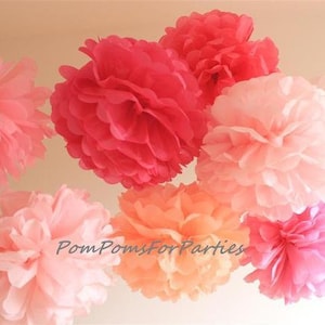 Set of 9 (4L/5M) Tissue Paper Pom Poms Pink Pop colors Stylish wedding Beach wedding Pinks Coral Peach