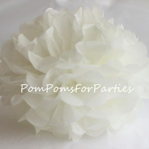 1 Alta Qualità -Marshmallow- Tissue Pom Pom - Scegli uno dei 60 colori - Fiore di carta appesa - Palline di carta velina - Pom pom di carta velina