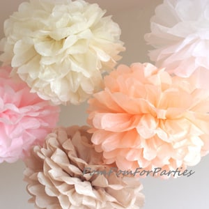Set di 5 unità FORMATO GRANDE (14'') Carta velina Pom Poms Rosa pallido Avorio Pesca Marrone Colori bianco